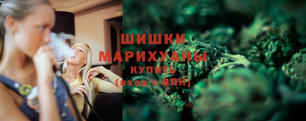 apvp Дмитриев